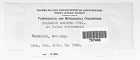 Image Associated With the Occurence